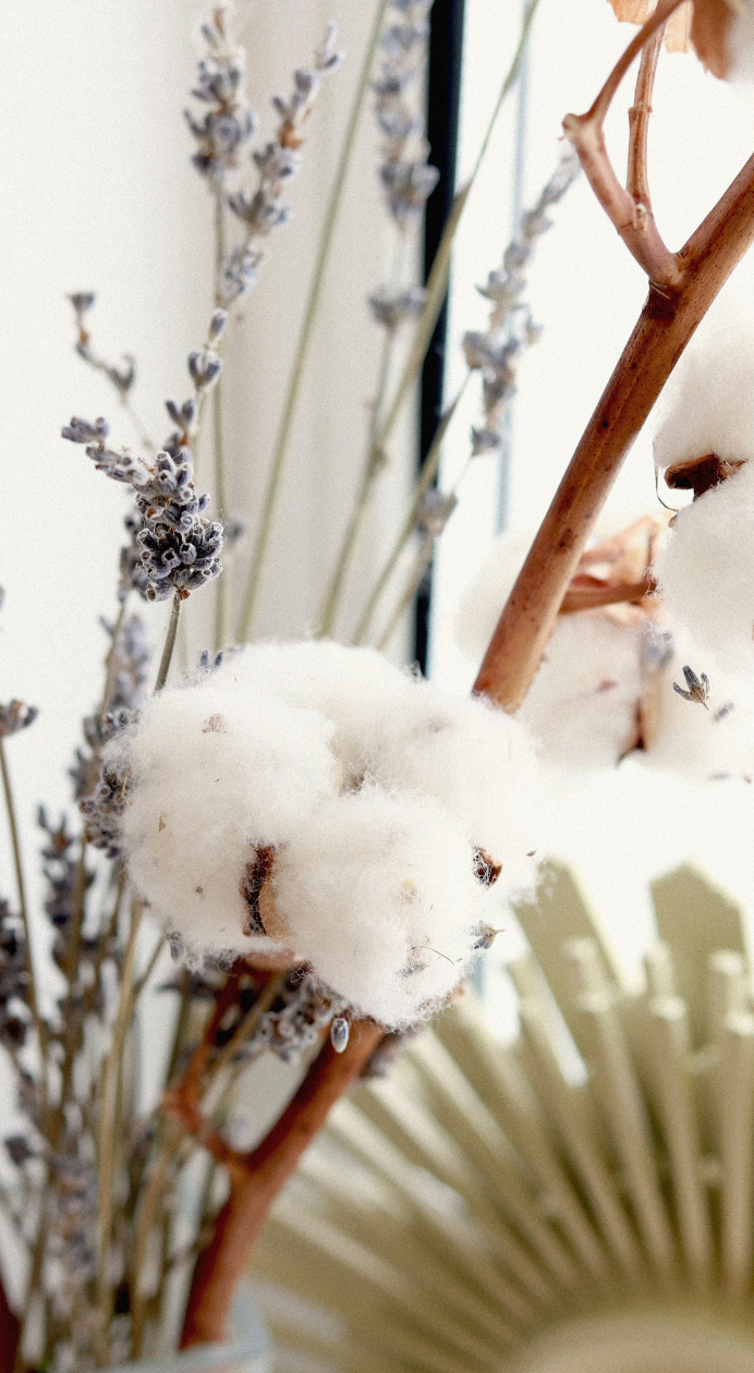 Coup de coeur décoration - Alex Aménage - Belfort