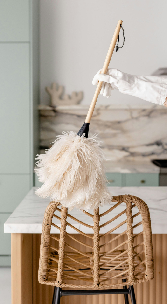 Coup de propre - Alex Aménage - Belfort