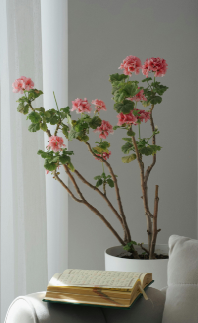 Remettre au propre après un départ - coup de pinceau-2